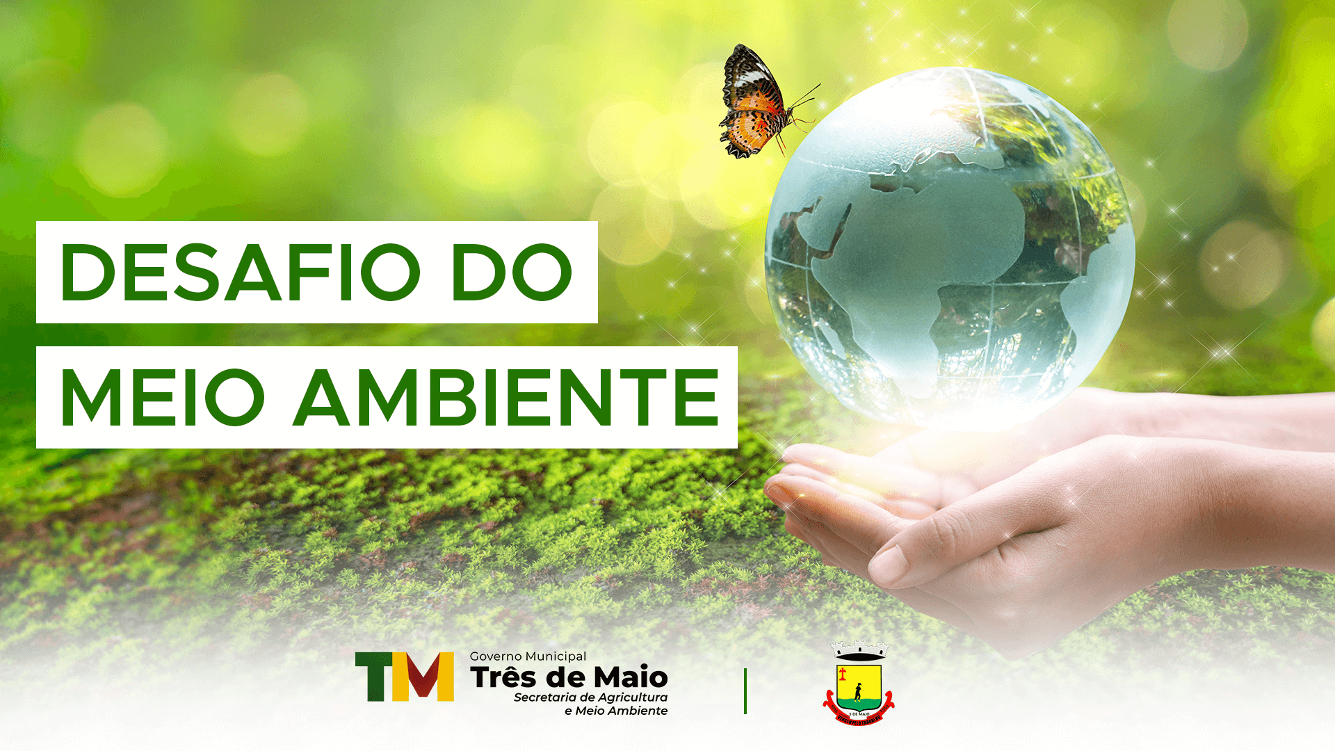 DESAFIO DA SEMANA DO MEIO AMBIENTE INICIA HOJE